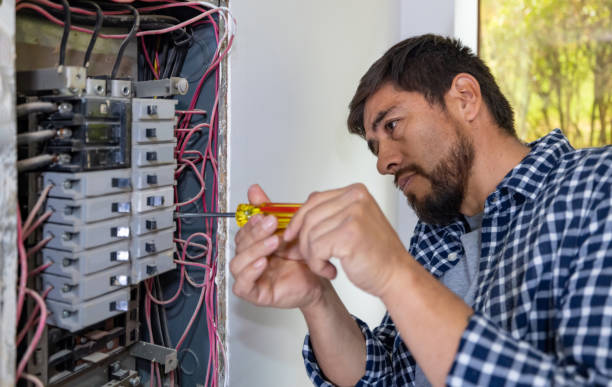 Best Electrical System Inspection  in Dahlgren, VA